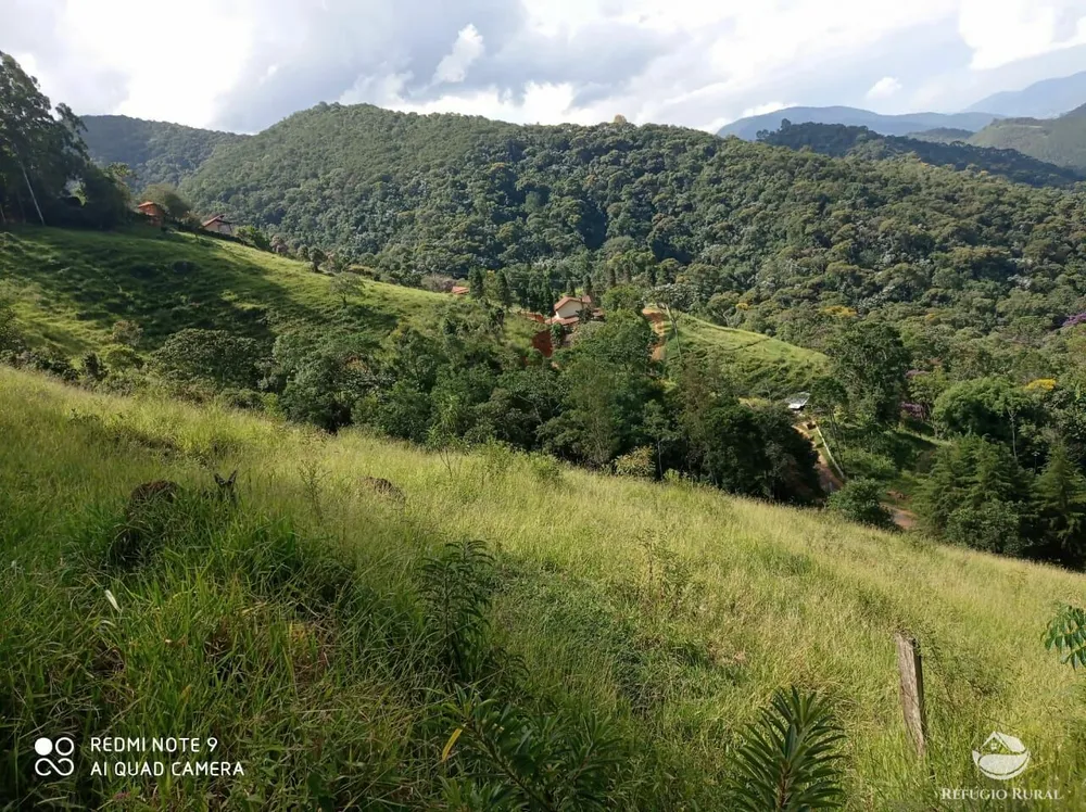 Terreno, 2 hectares - Foto 42