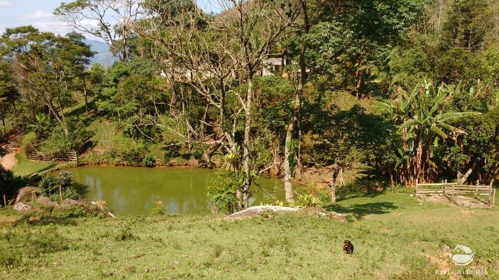 Terreno, 2 hectares - Foto 5