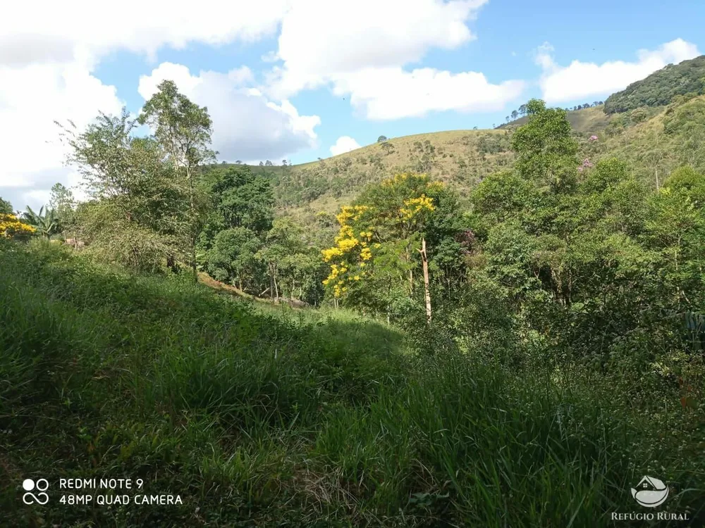 Terreno, 2 hectares - Foto 40