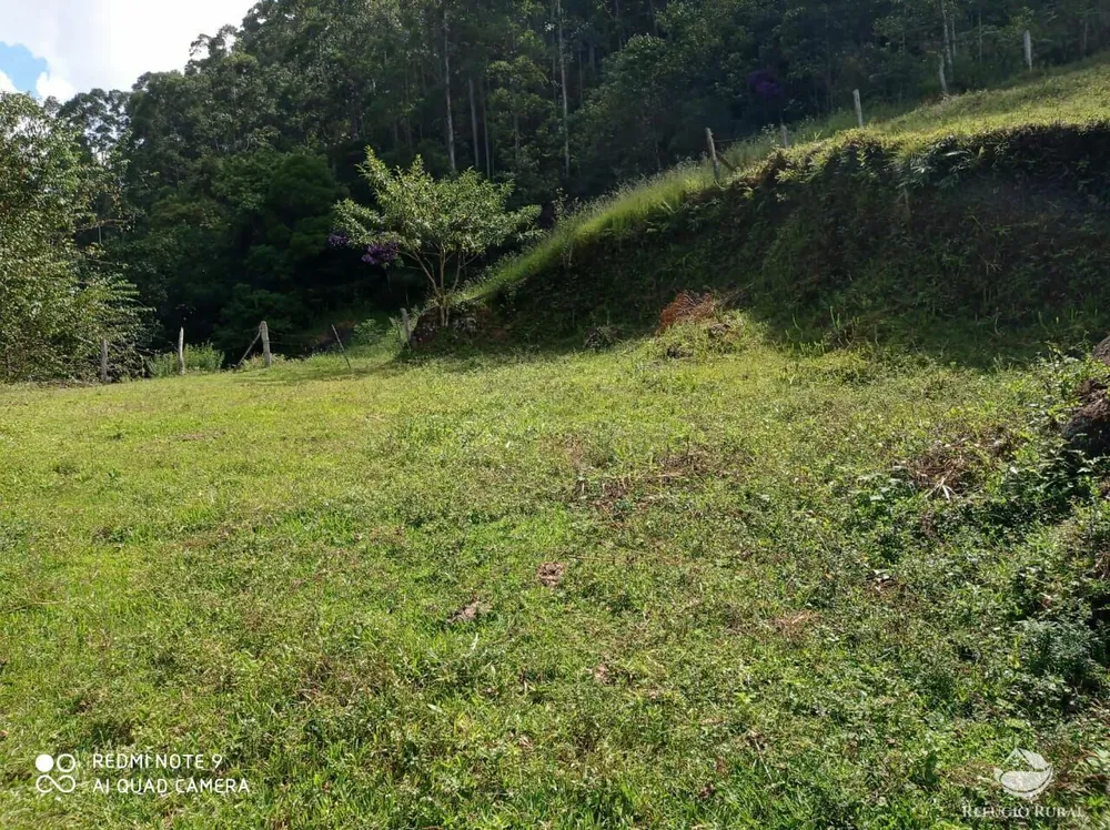Terreno, 2 hectares - Foto 45