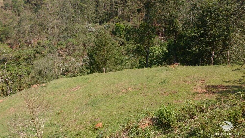 Terreno, 2 hectares - Foto 31