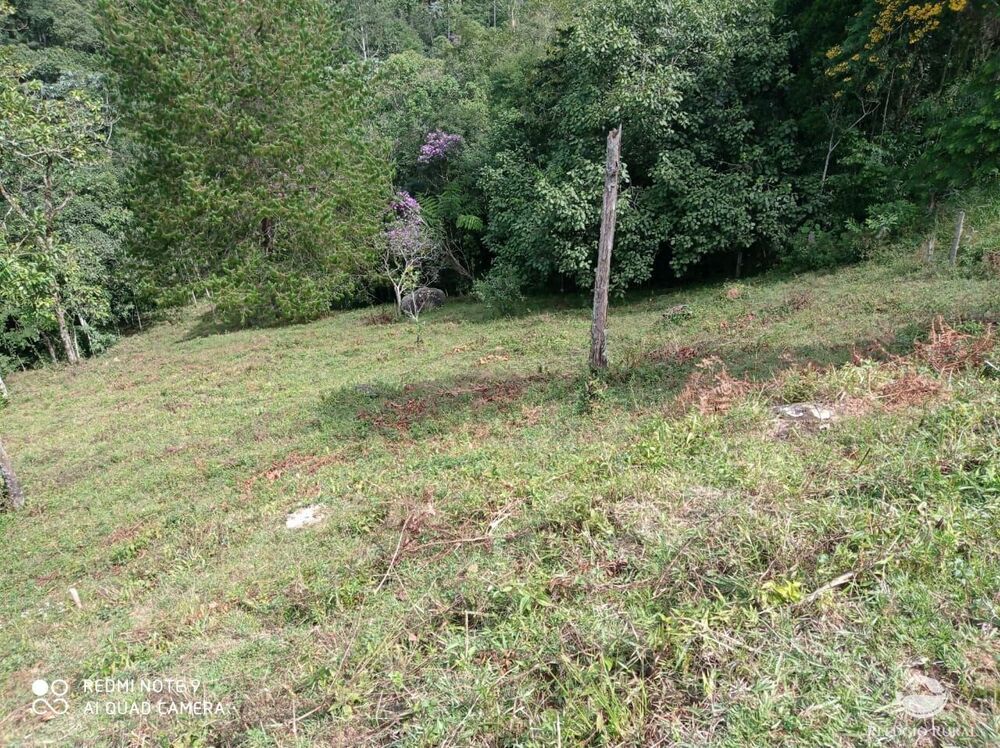 Terreno, 2 hectares - Foto 10