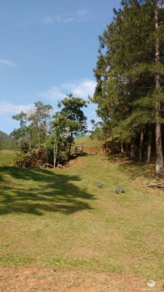 Terreno, 2 hectares - Foto 35