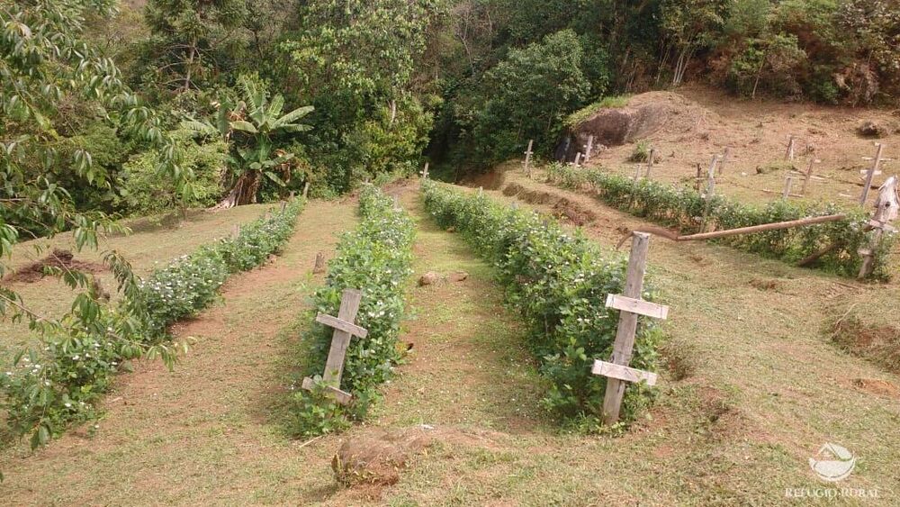 Terreno, 2 hectares - Foto 33