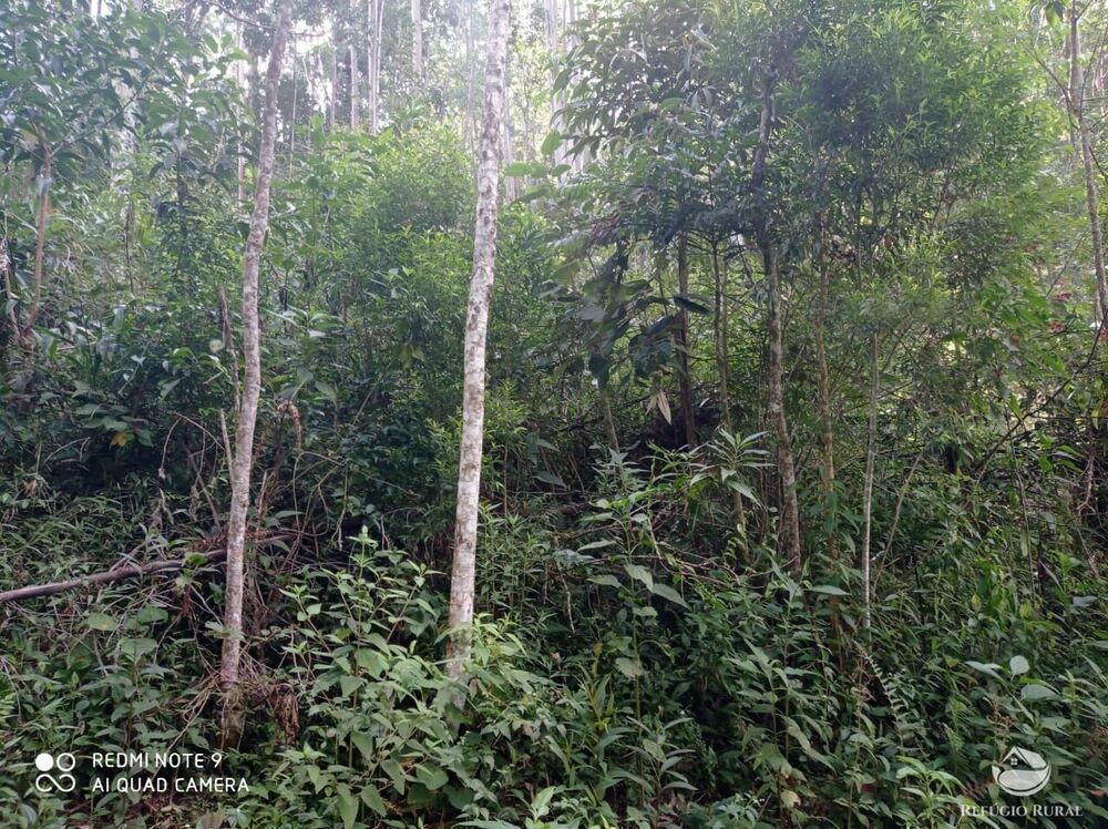 Terreno, 2 hectares - Foto 15