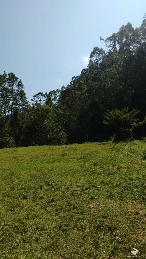 Terreno, 2 hectares - Foto 43