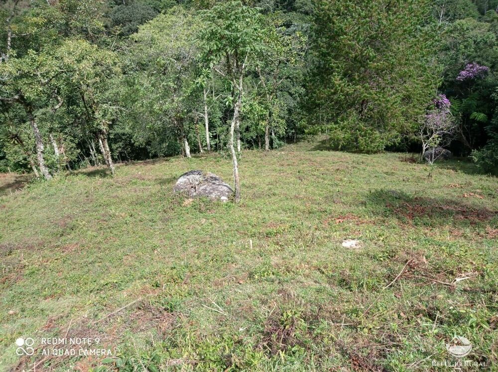 Terreno, 2 hectares - Foto 16