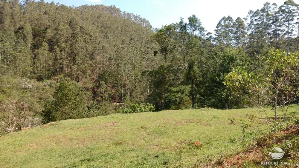 Terreno, 2 hectares - Foto 38