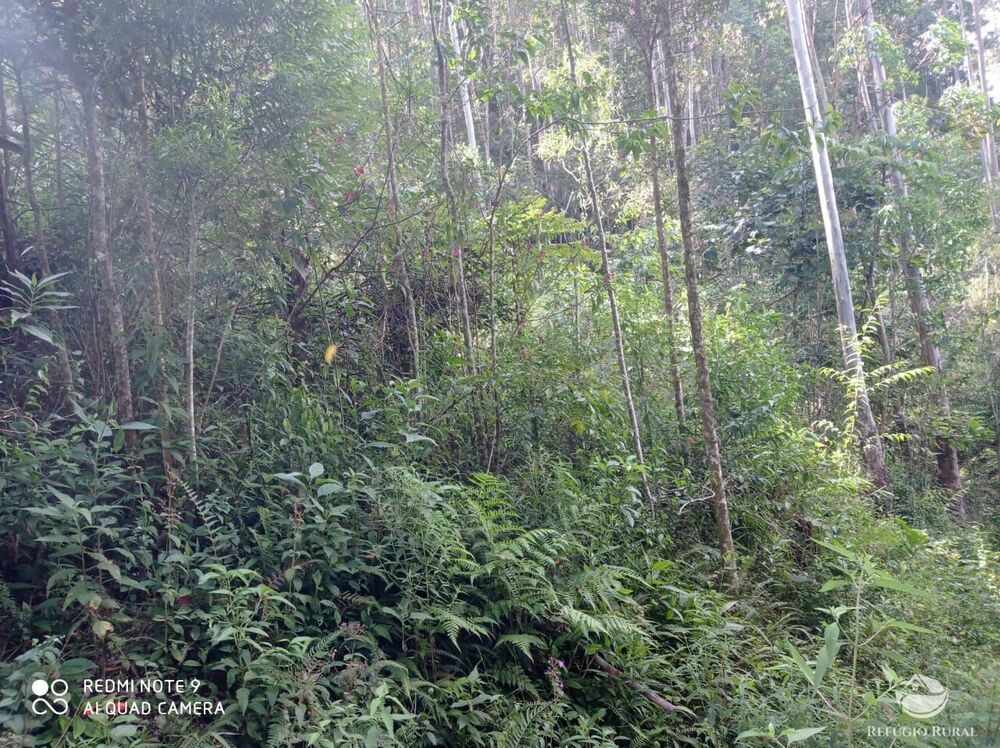 Terreno, 2 hectares - Foto 20