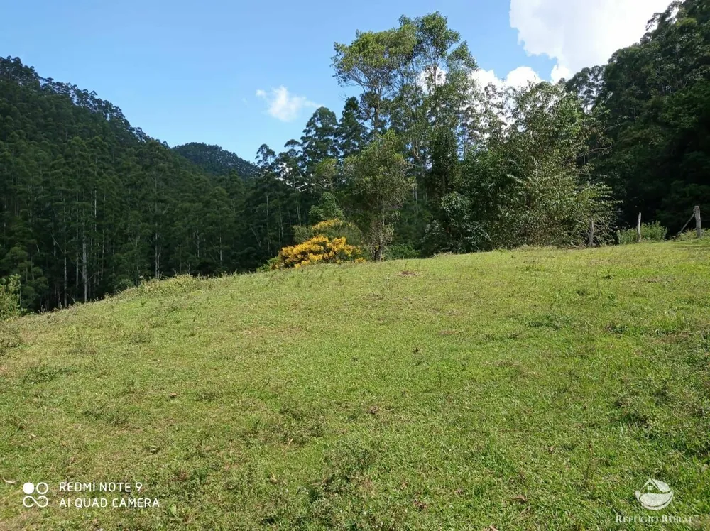 Terreno, 2 hectares - Foto 39