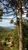 Terreno, 2 hectares - Foto 4