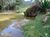Terreno, 2 hectares - Foto 3