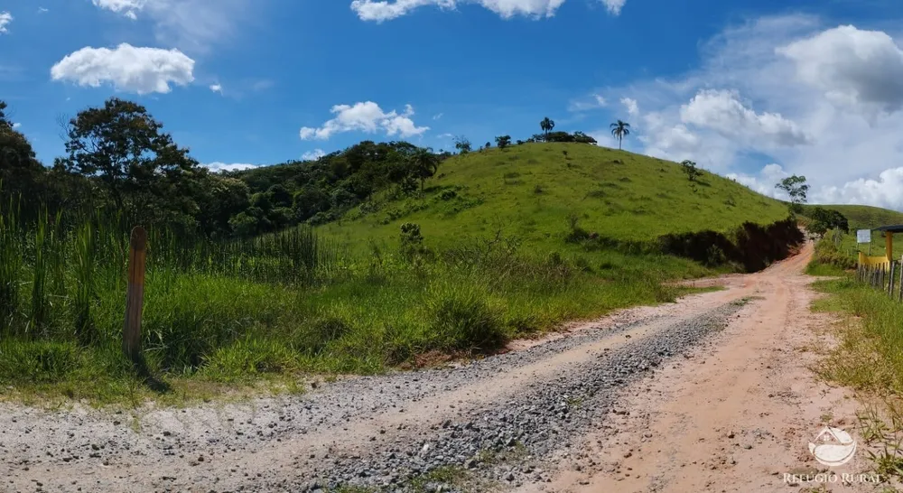 Fazenda, 298 hectares - Foto 2