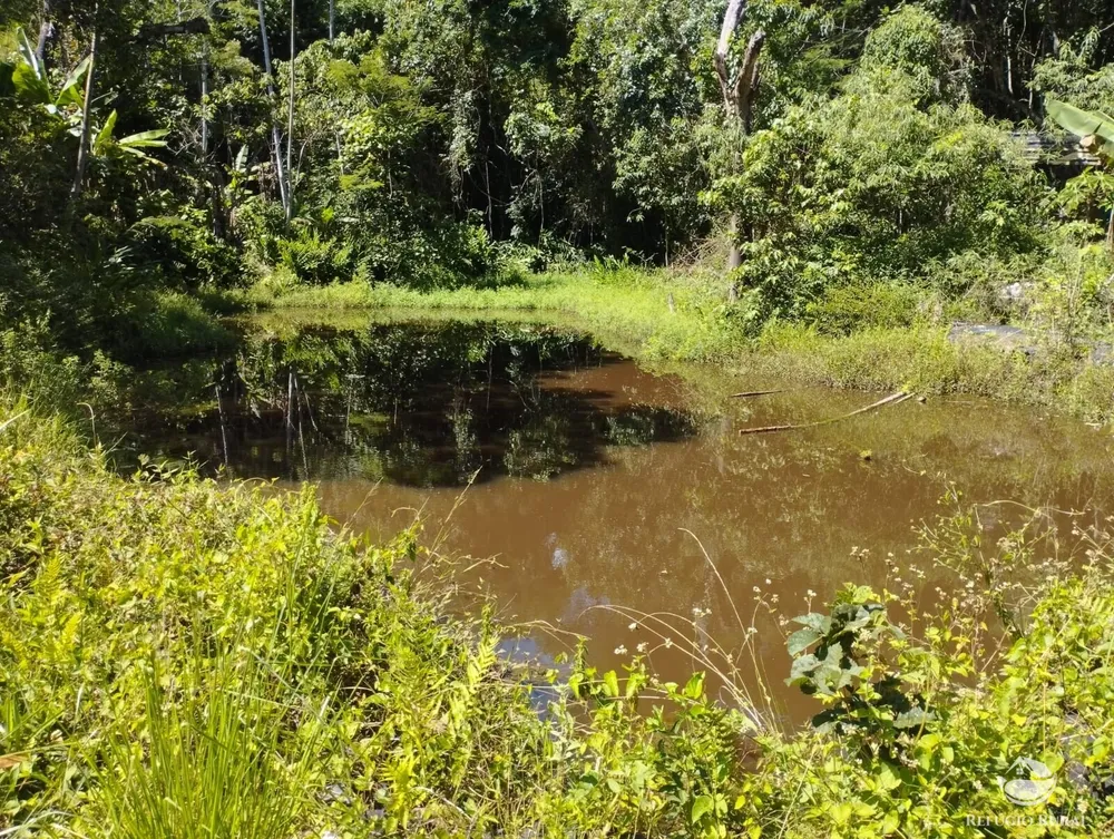 Fazenda, 298 hectares - Foto 2
