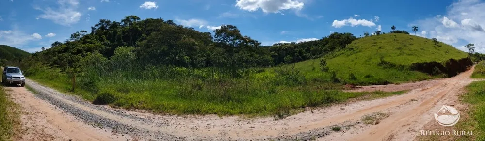 Fazenda, 298 hectares - Foto 3