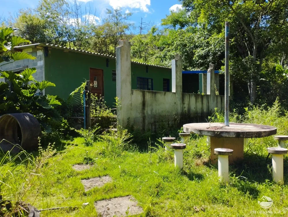 Fazenda, 298 hectares - Foto 6