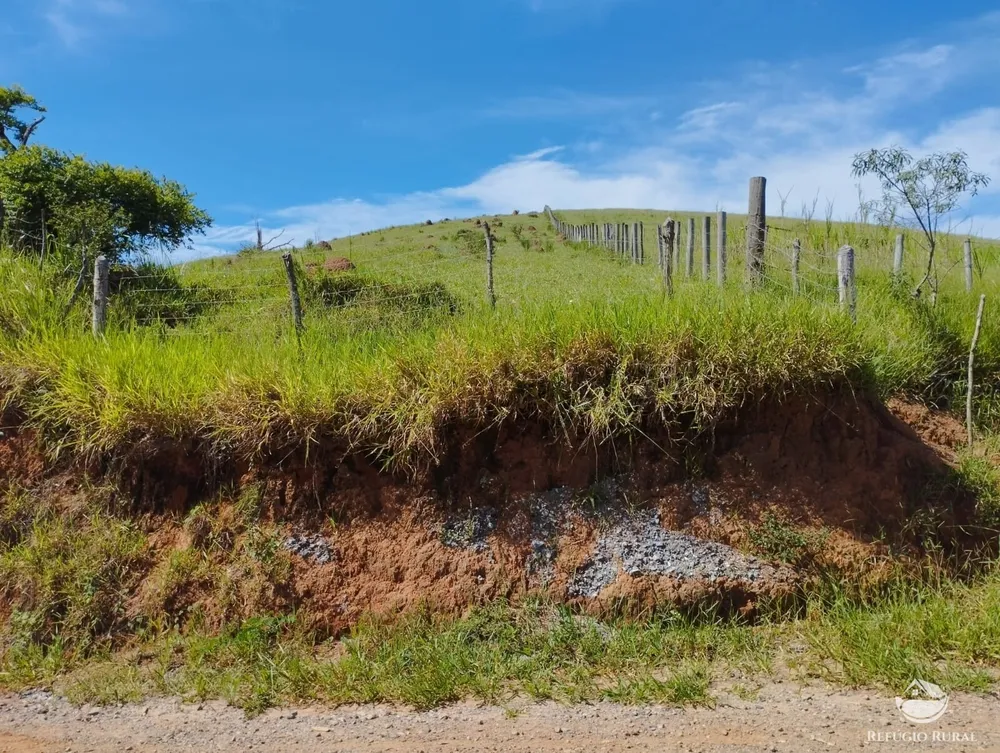 Fazenda, 298 hectares - Foto 7