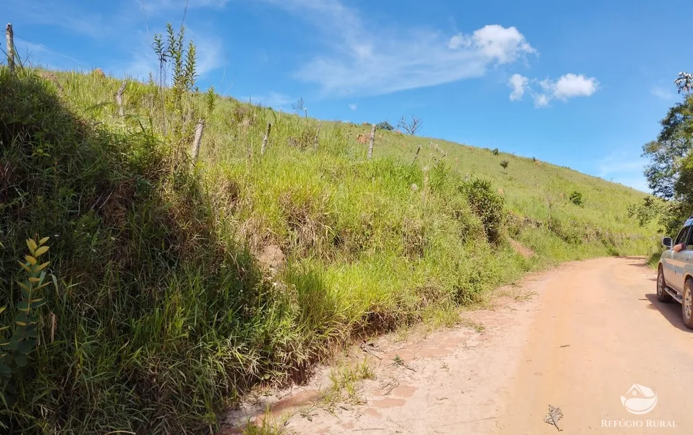 Fazenda, 298 hectares - Foto 4