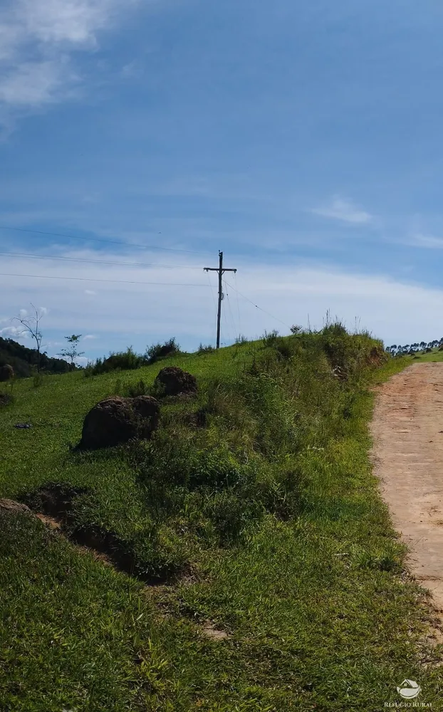 Fazenda, 298 hectares - Foto 4