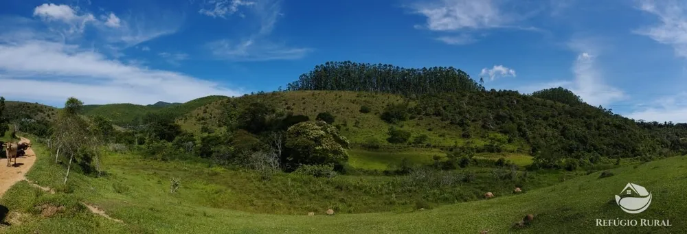 Fazenda, 298 hectares - Foto 1