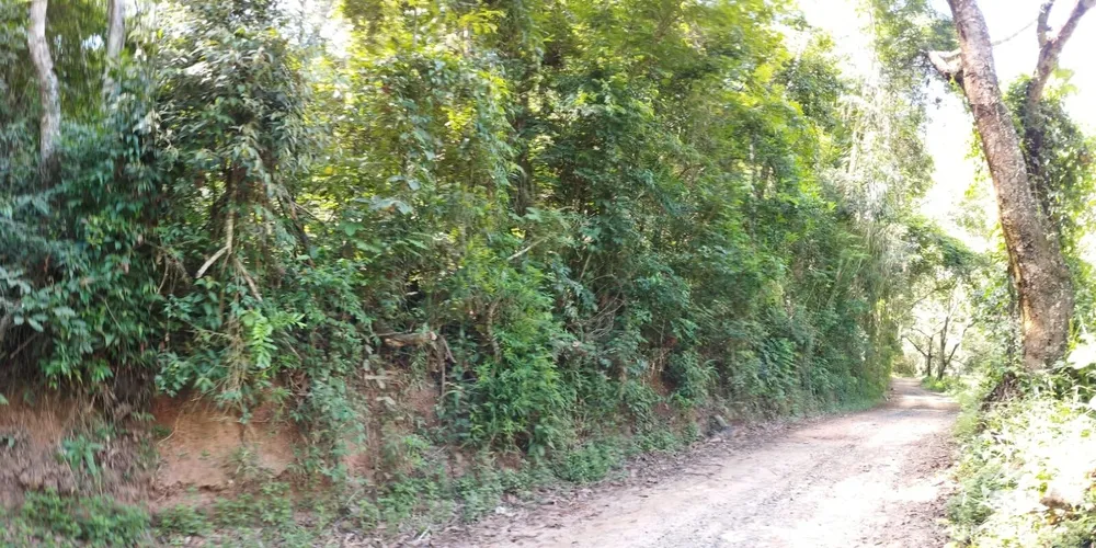 Fazenda, 298 hectares - Foto 12