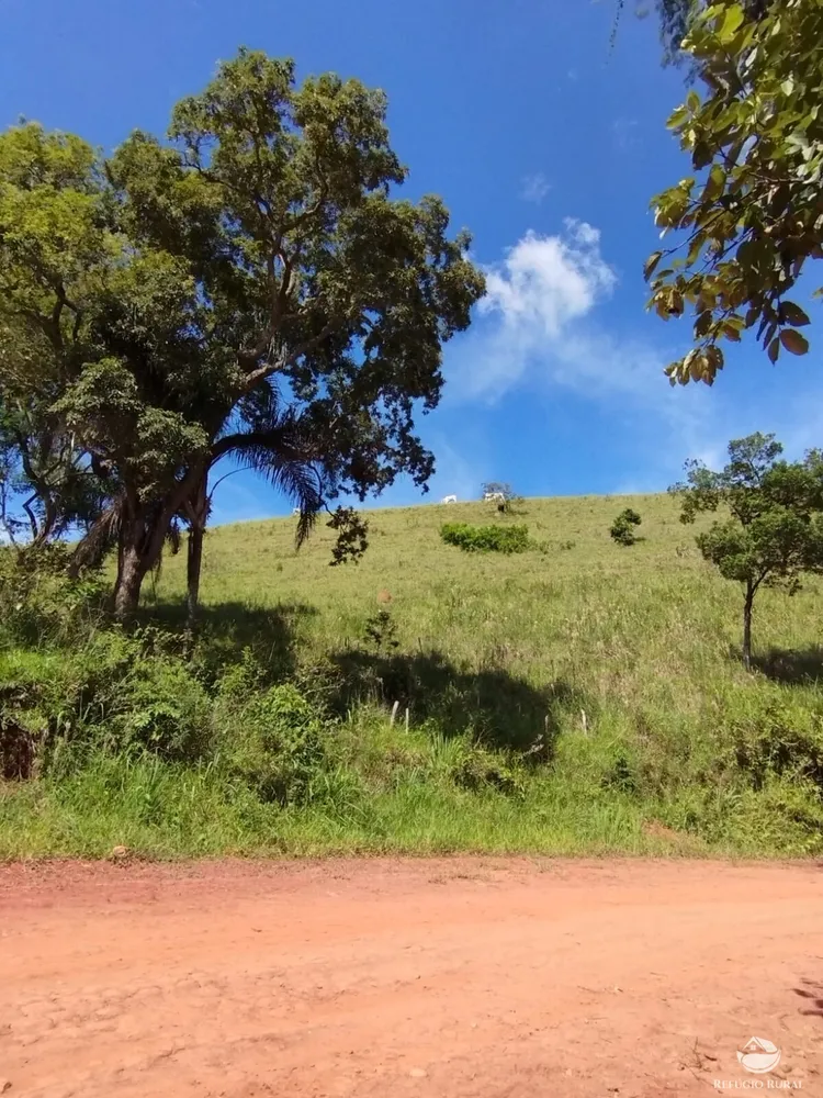 Fazenda, 298 hectares - Foto 1
