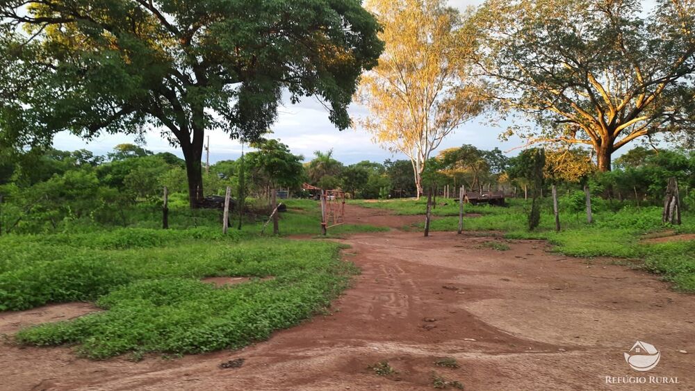 Fazenda, 411 hectares - Foto 1