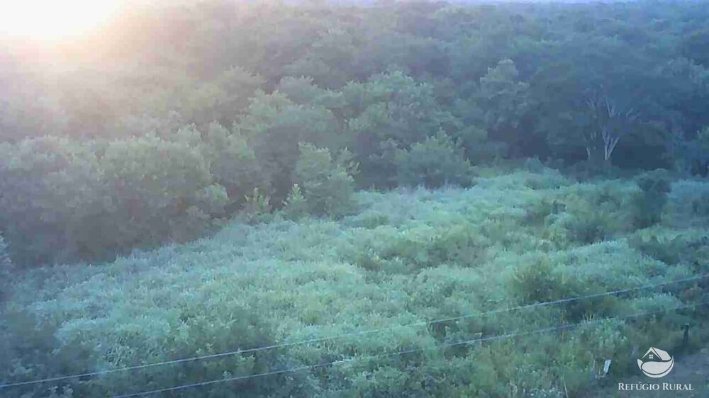 Fazenda, 411 hectares - Foto 17