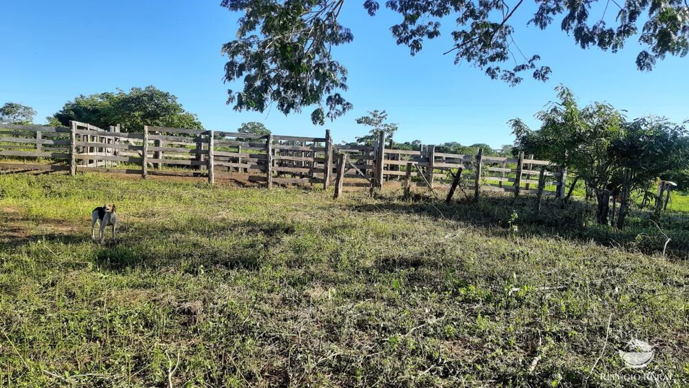 Fazenda, 411 hectares - Foto 10