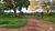 Fazenda-Sítio-Chácara, 411 hectares - Foto 1