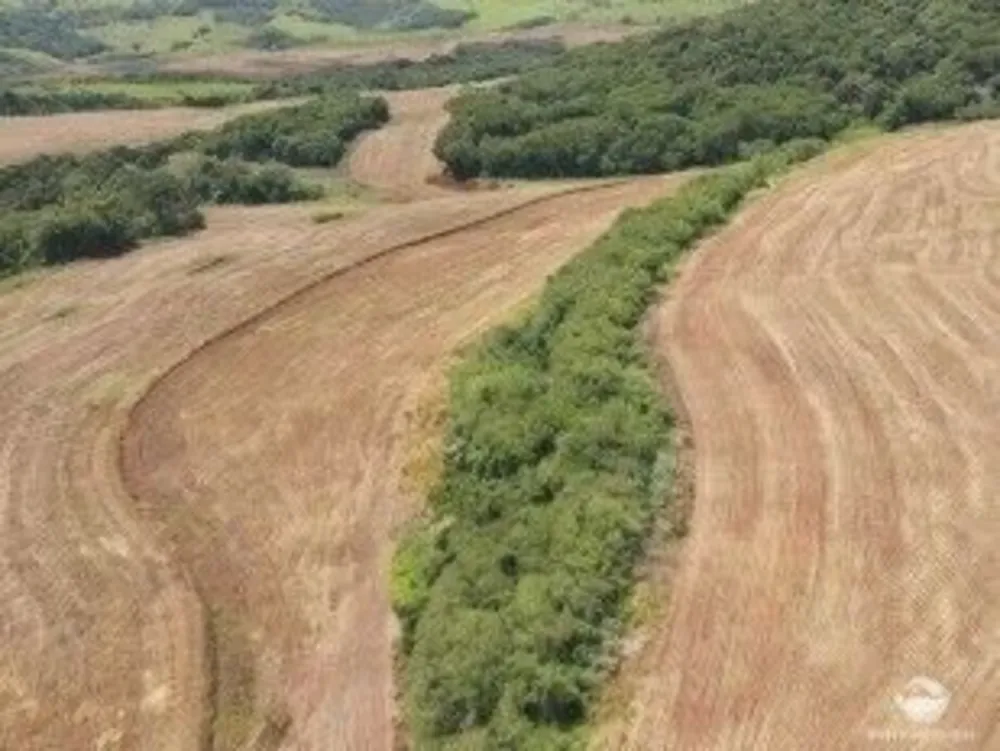 Fazenda, 571 hectares - Foto 2