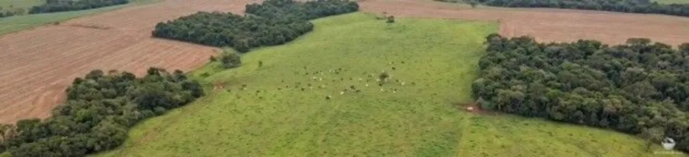 Fazenda, 571 hectares - Foto 1