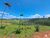 Terreno, 3 hectares - Foto 1