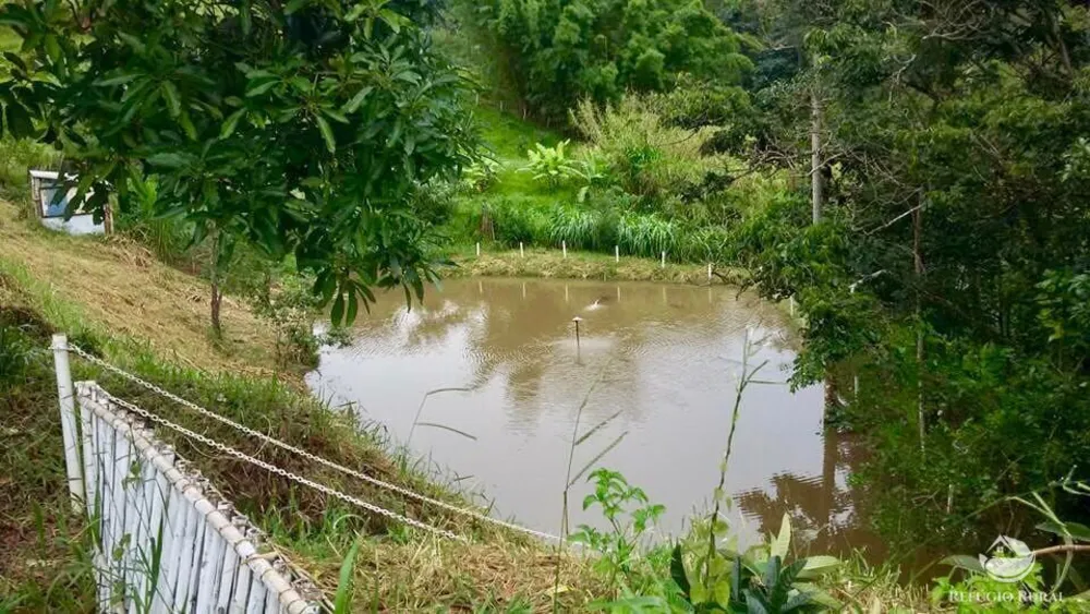 Fazenda, 4 hectares - Foto 1