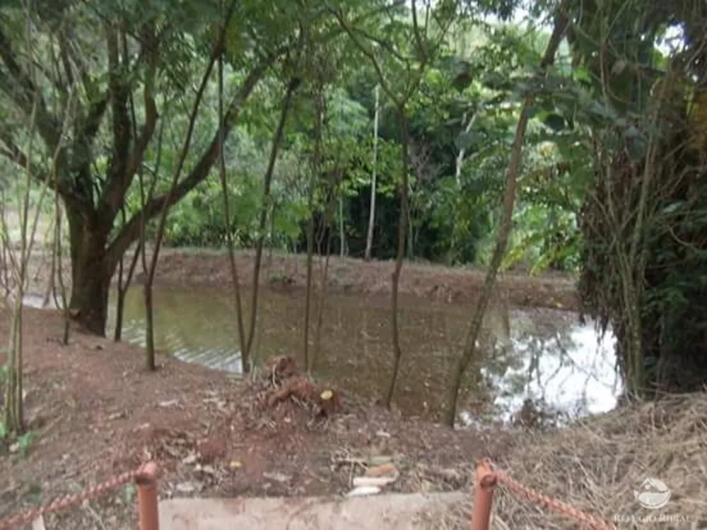 Fazenda, 4 hectares - Foto 14