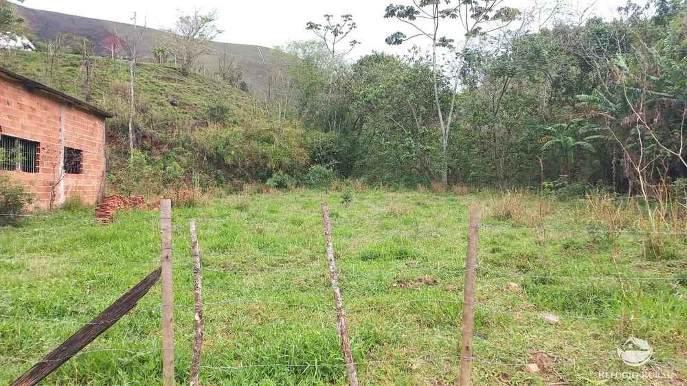 Fazenda, 4 hectares - Foto 13