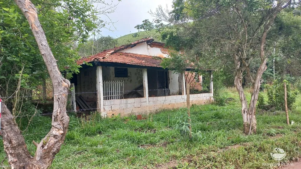 Fazenda, 4 hectares - Foto 8