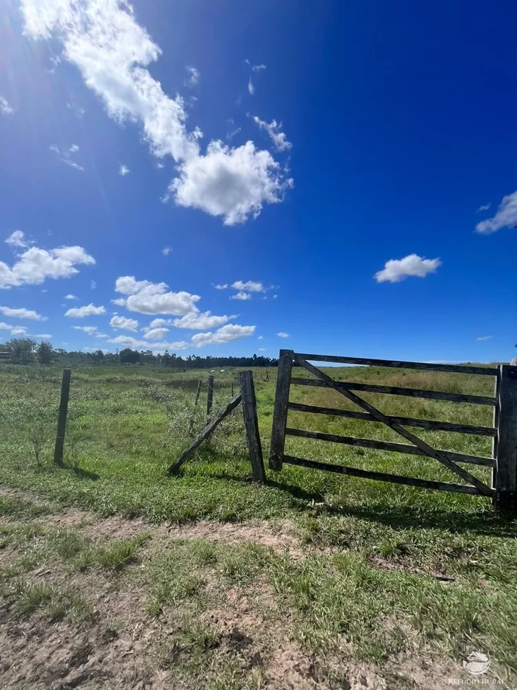 Fazenda, 141 hectares - Foto 37