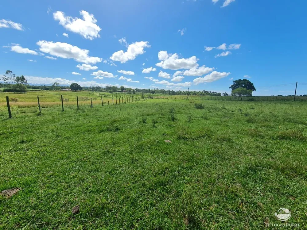 Fazenda, 141 hectares - Foto 33