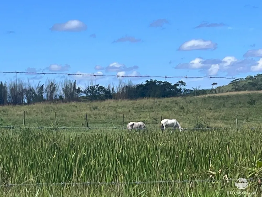 Fazenda, 141 hectares - Foto 35