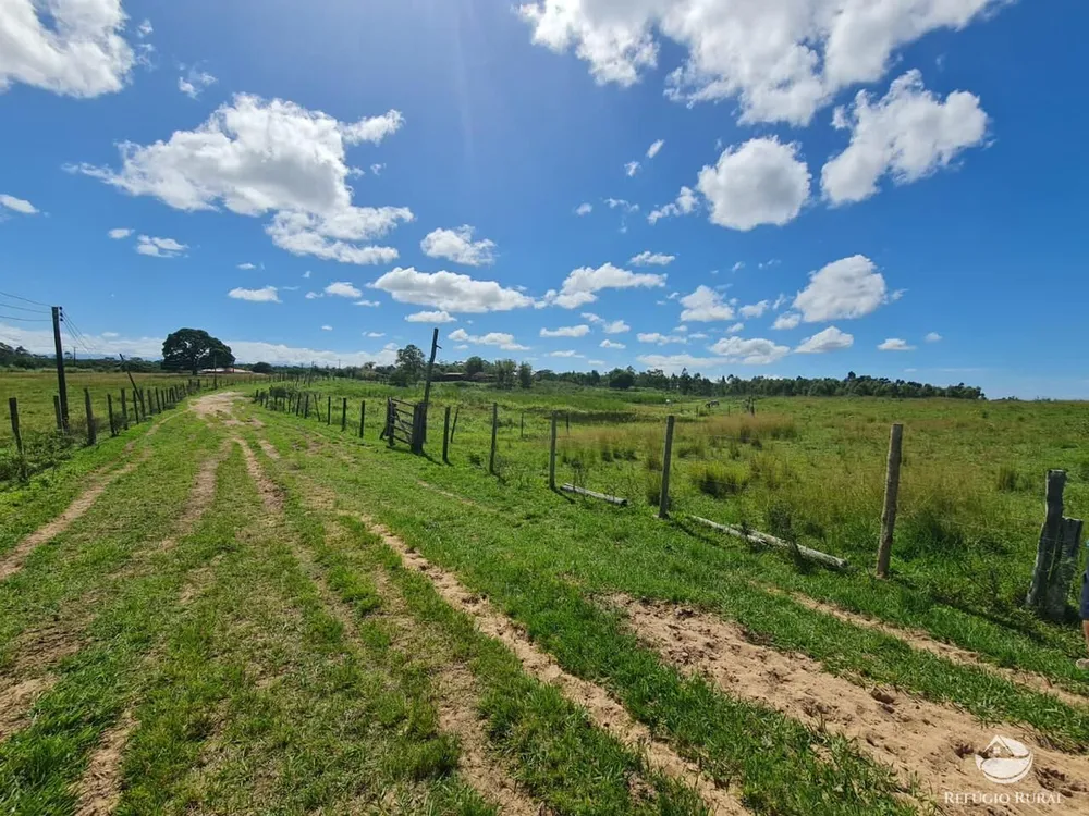Fazenda, 141 hectares - Foto 40