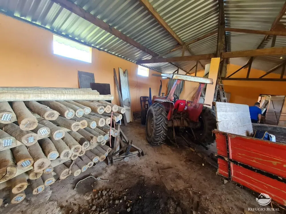 Fazenda, 141 hectares - Foto 75