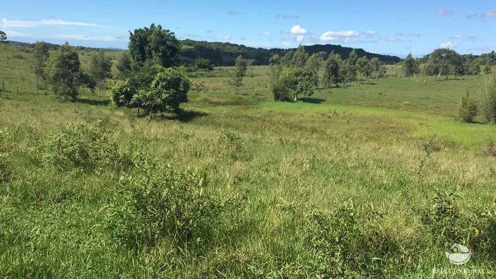 Fazenda, 141 hectares - Foto 11