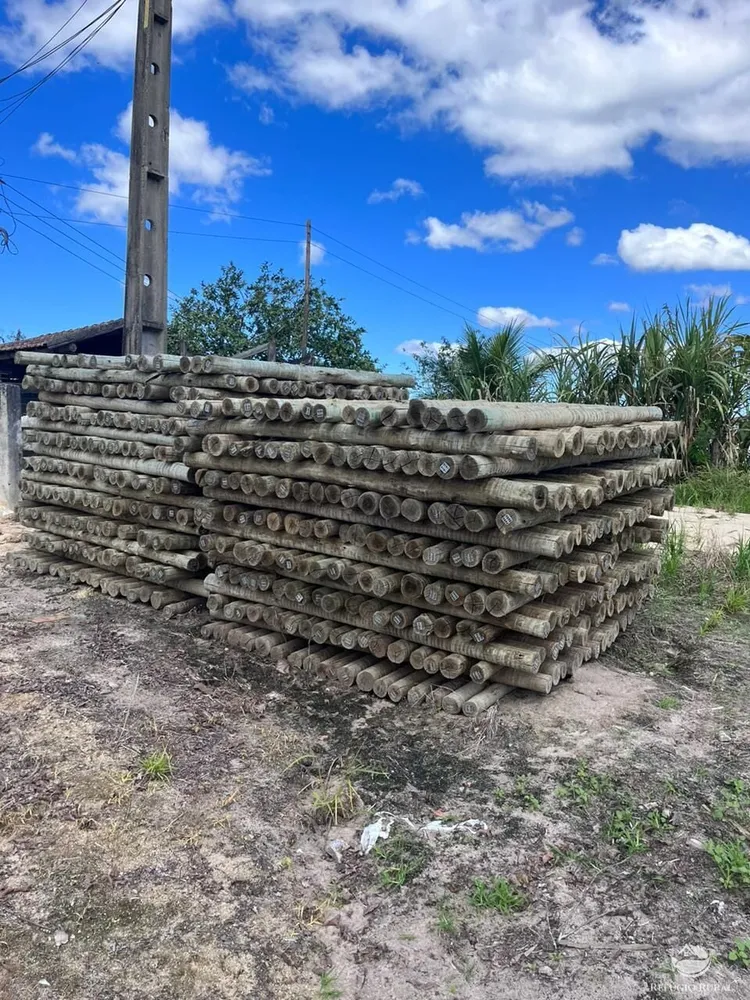 Fazenda, 141 hectares - Foto 49
