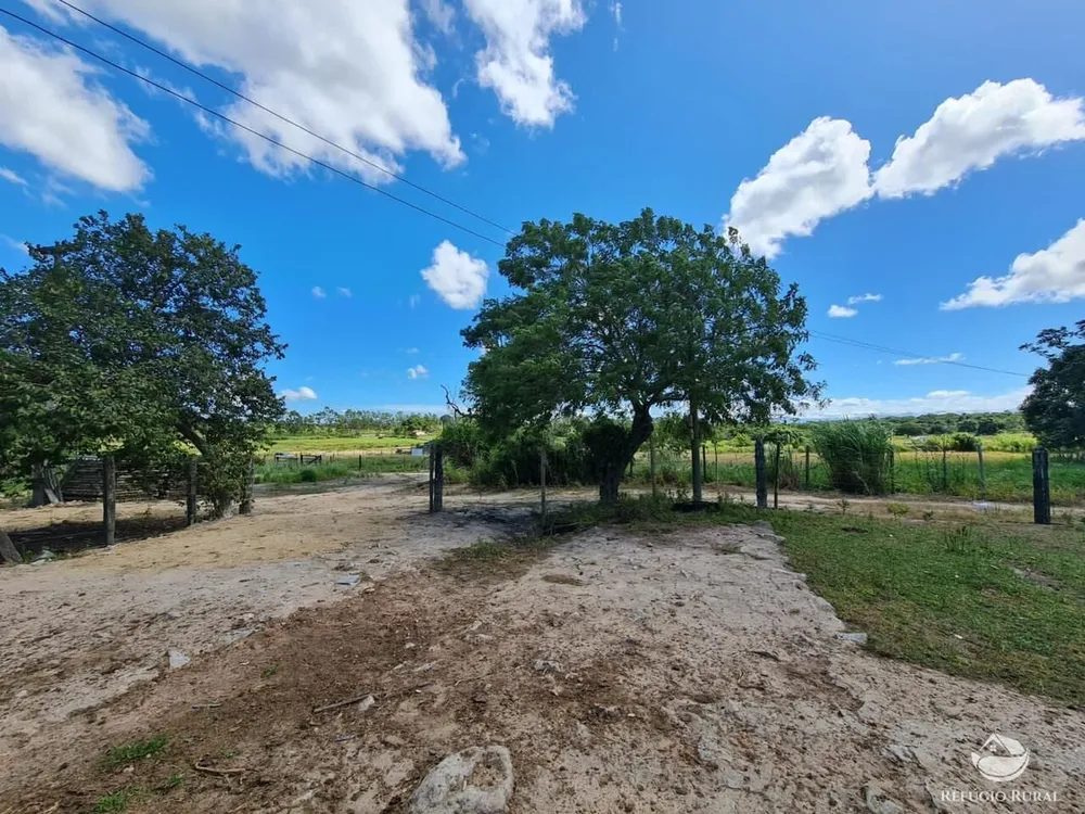 Fazenda, 141 hectares - Foto 73