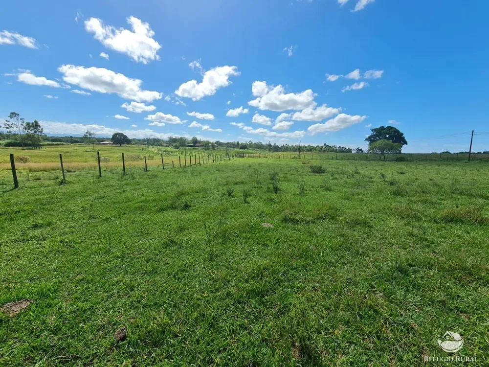 Fazenda, 141 hectares - Foto 65