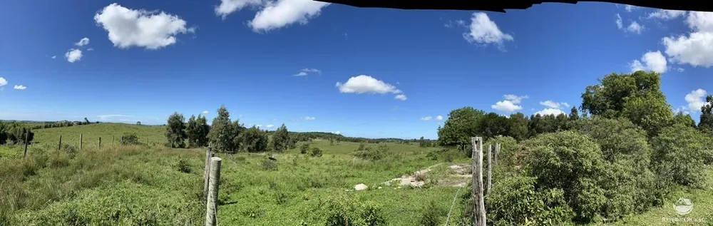 Fazenda, 141 hectares - Foto 43