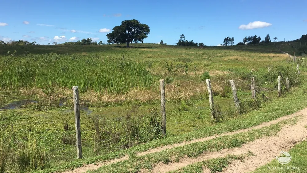 Fazenda, 141 hectares - Foto 19