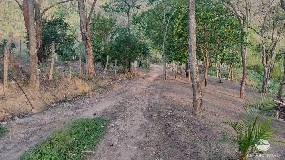 Chácara, 10000 m² - Foto 5