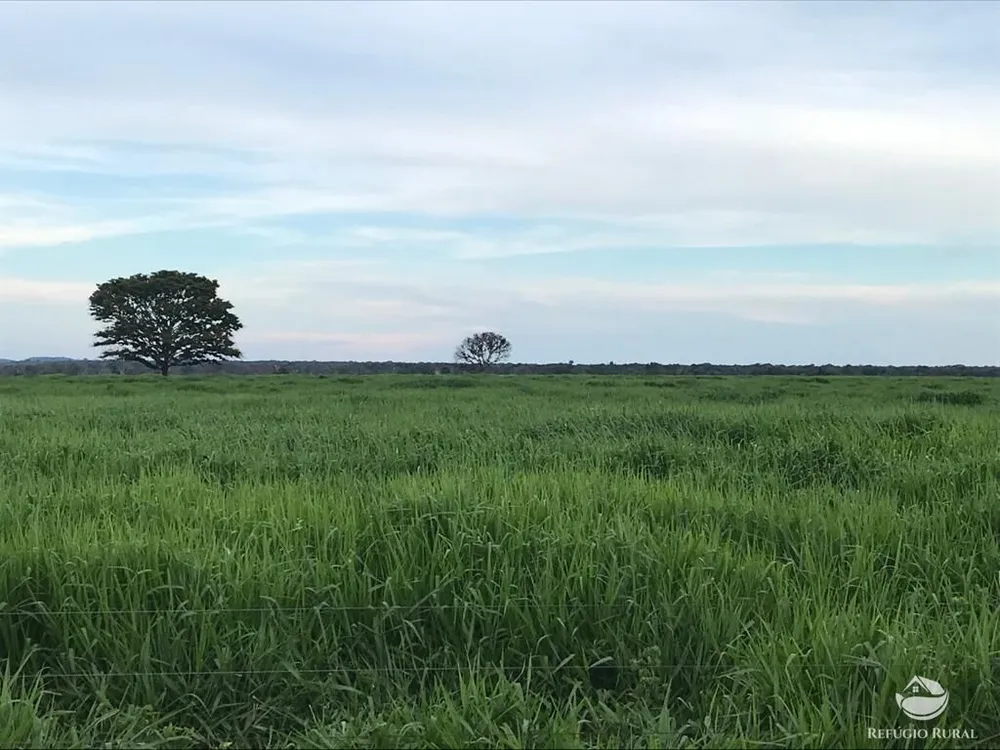 Fazenda, 20800 hectares - Foto 11